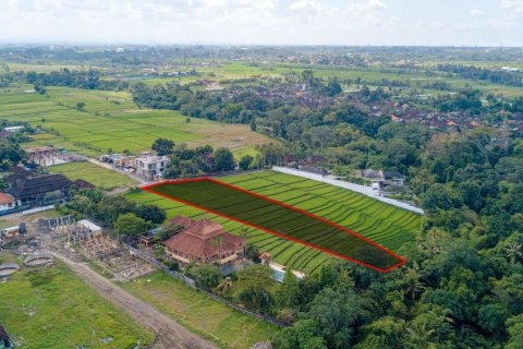 Land in Buwit, Kediri, Tabanan, Bali (15642) 4