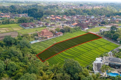 Land in Buwit, Kediri, Tabanan, Bali (15642) 3