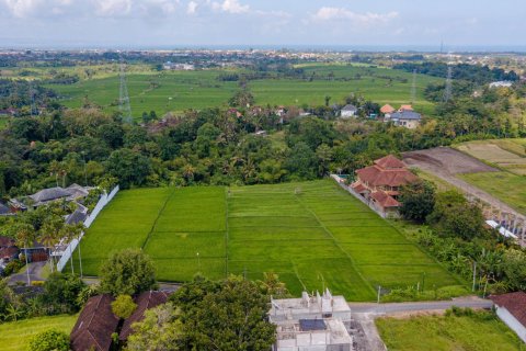 Land in Buwit, Kediri, Tabanan, Bali (15642) 9
