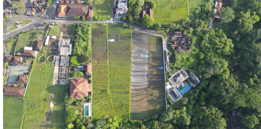 Land in Buwit, Kediri, Tabanan, Bali (15642)