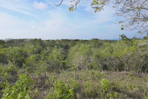 Land in Nusa Dua, Badung, Bali (11952) 9