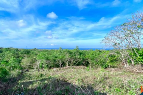 Land in Nusa Dua, Badung, Bali (11952) 2