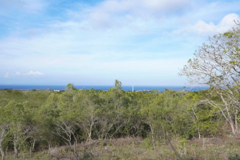 Land in Nusa Dua, Badung, Bali (11952) 8