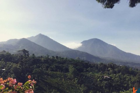 Land in Buleleng, Bali (11950)