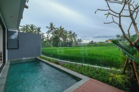 1 bedroom Villa in Ubud, Gianyar,  (9423) 9