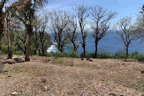 Land in Karangasem, Karang Asem,  (9482) 3