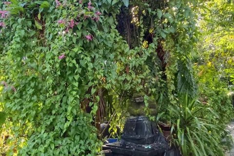 Земельный участок 425м2 в Чангу, Бадунг,  (9301) 1