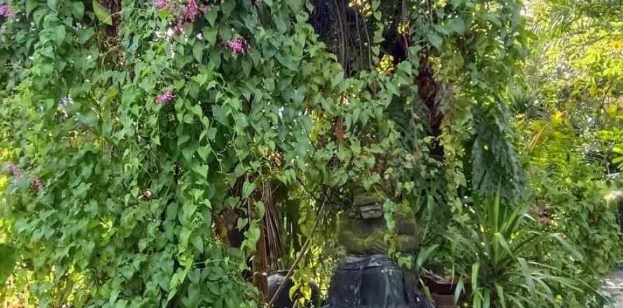 Земельный участок 425м2 в Чангу, Бадунг,  (9301)