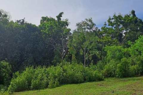 Земельный участок 997м2 в Южная Кута, Бадунг,  (9307) 12