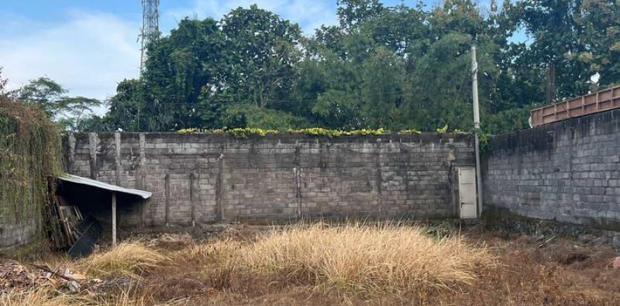 Земельный участок 660м2 в Переренан, Менгви, Бадунг,  (9302)