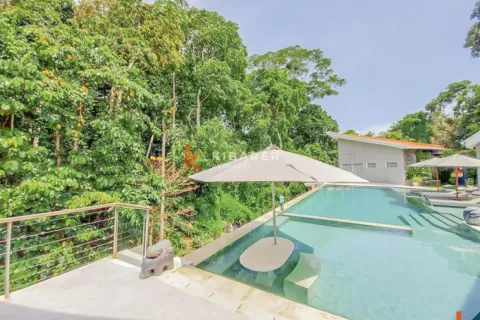 4 bedrooms Villa in Badung, Bali (14668) 5