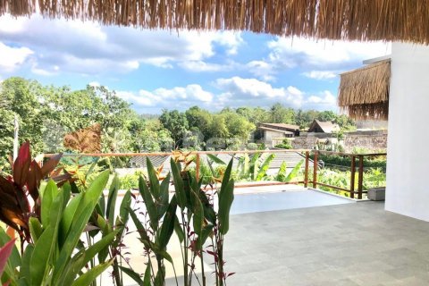 2 bedrooms Villa in Tumbak Bayuh, Mengwi, Badung, Bali (2516) 16