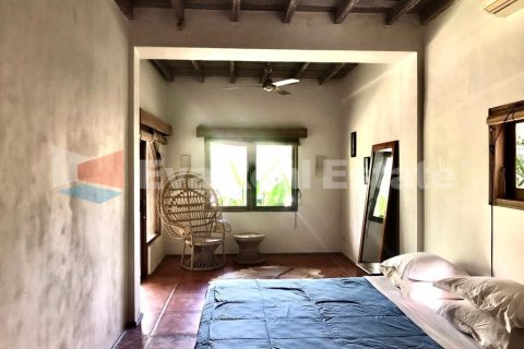 4 bedrooms Villa in Kerobokan, Badung, Bali (2515) 12