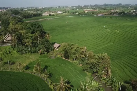 Land in Pererenan, Mengwi, Badung, Bali (11390) 4