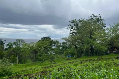 Land in Karangasem, Karang Asem, Bali (11632) 3