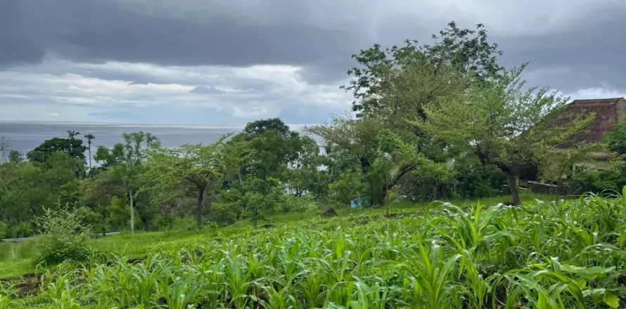 Land in Karangasem, Karang Asem, Bali (11632)
