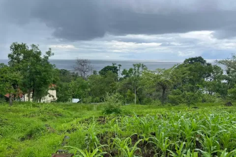 Land in Karangasem, Karang Asem, Bali (11632) 5