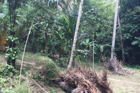 Земельный участок в Убуд, Гианьяр,  (9625) 1