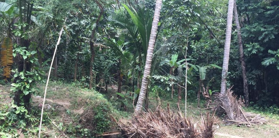 Земельный участок в Убуд, Гианьяр,  (9625)