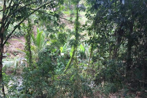 Земельный участок в Убуд, Гианьяр,  (9625) 4