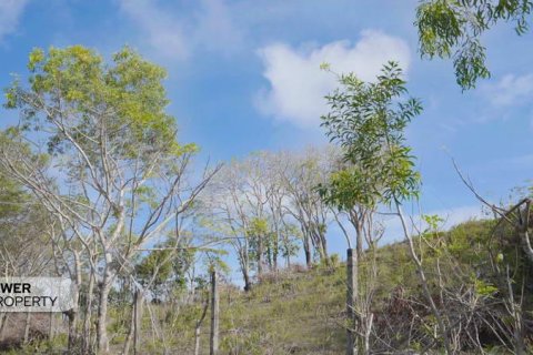 1700m2 Land in Nusa Dua, Badung,  (9613) 25