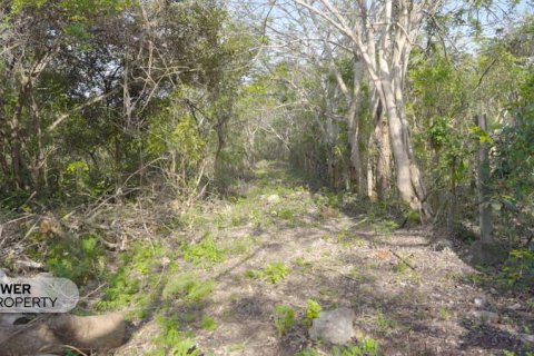 1700m2 Land in Nusa Dua, Badung,  (9613) 19