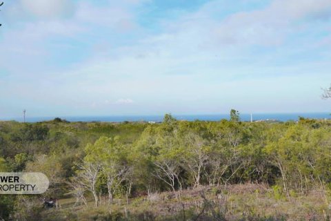 1700m2 Land in Nusa Dua, Badung,  (9613) 16