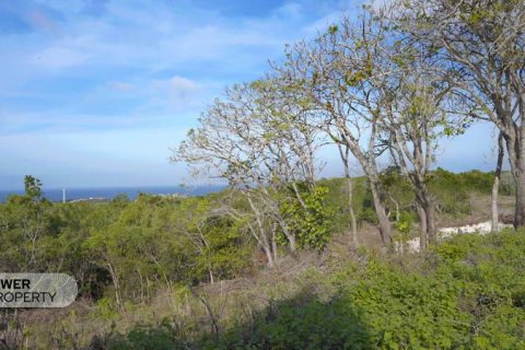 1700m2 Land in Nusa Dua, Badung,  (9613) 15