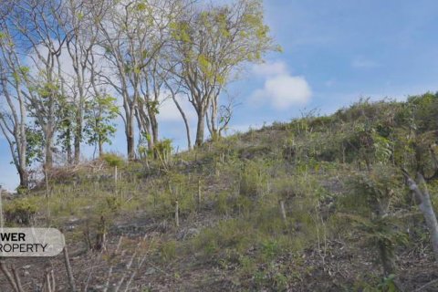 1700m2 Land in Nusa Dua, Badung,  (9613) 12