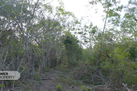 1700m2 Land in Nusa Dua, Badung,  (9613) 20