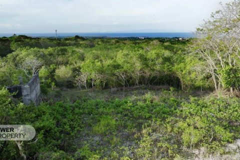 1700m2 Land in Nusa Dua, Badung,  (9613) 4