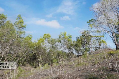 1700m2 Land in Nusa Dua, Badung,  (9613) 11