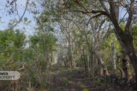 1700m2 Land in Nusa Dua, Badung,  (9613) 21