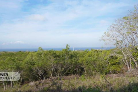 1700m2 Land in Nusa Dua, Badung,  (9613) 14