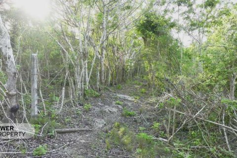 1700m2 Land in Nusa Dua, Badung,  (9613) 8