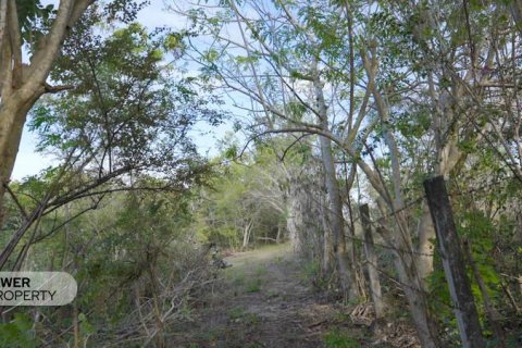 1700m2 Land in Nusa Dua, Badung,  (9613) 22