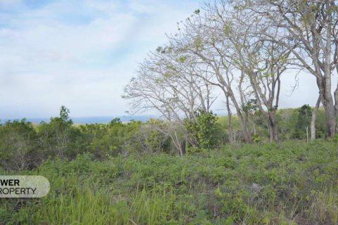 1700m2 Land in Nusa Dua, Badung,  (9613) 13