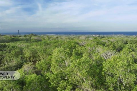 1700m2 Land in Nusa Dua, Badung,  (9613) 3