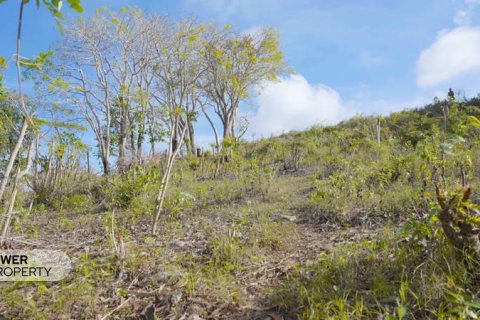 1700m2 Land in Nusa Dua, Badung,  (9613) 23