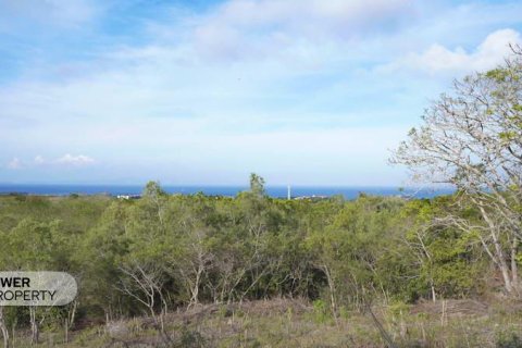 1700m2 Land in Nusa Dua, Badung,  (9613) 17