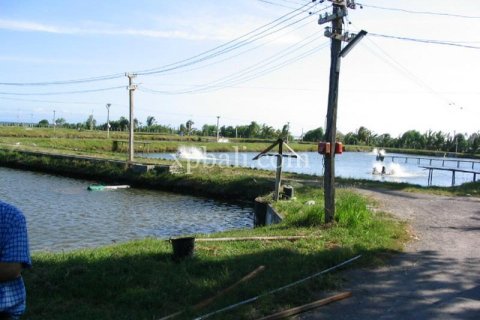 Земельный участок 49000м2 в Негара, Джембрана, (9615) 2