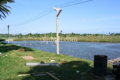 Земельный участок 49000м2 в Негара, Джембрана, (9615) 1