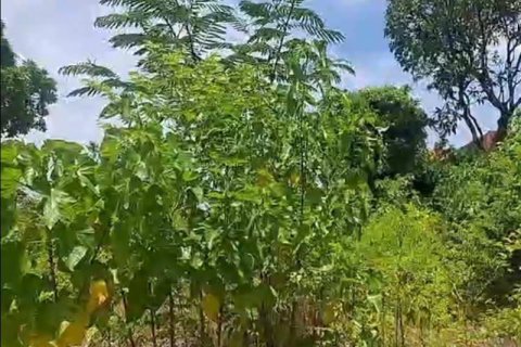 2610m2 Land in Kuta, Badung, Bali (10513)