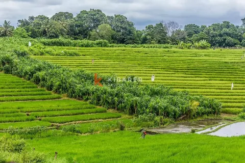 Вилла с 3 спальнями в Тумбак Баюх, Менгви, Бадунг, Бали (13441) 13