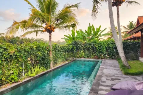 2 bedrooms Villa in Ubud, Gianyar, Bali (13733) 3