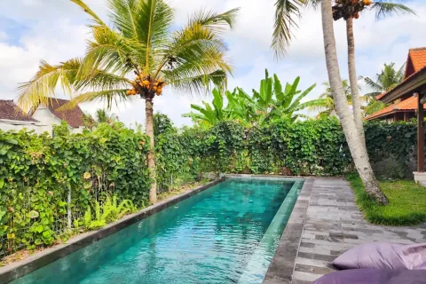2 bedrooms Villa in Ubud, Gianyar, Bali (13733) 3
