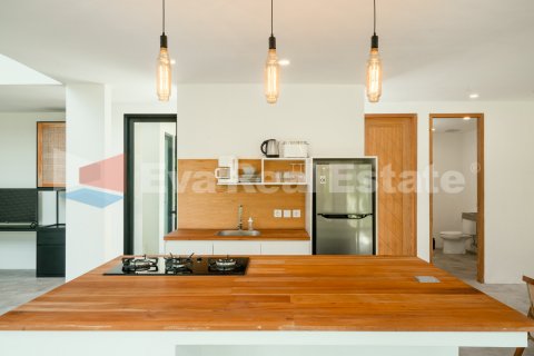 2 bedrooms Villa in Kerobokan, Badung, Bali (2428) 9
