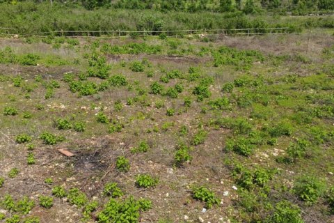 Land in Ungasan, Badung, Bali (12318)