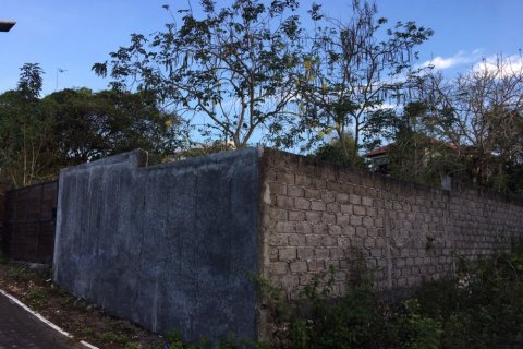 Land in Jimbaran, Badung, Bali (12319) 4