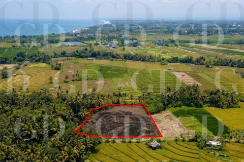 Land in Beraban, Kediri, Tabanan, Bali (15629) 5